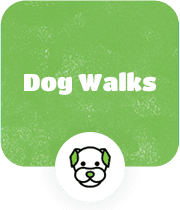 A green box with “Dog Walks” and an icon of a dog’s head