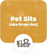 Offering Sitting Training for Your Lovely Pets