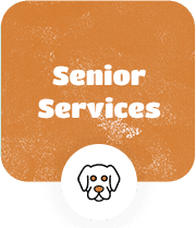 Providing Senior Services for Your Lovely Pets