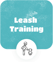 Offering Leash Training for Your Lovely Pets