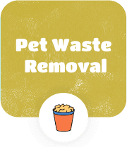 Providing Pet Waste Removal Services for Your Lovely Pets